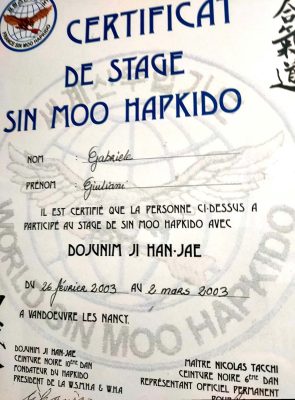 iniziative5 Stage con Ji Han Jae in Francia, 2003